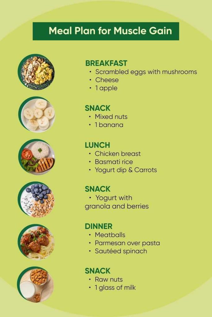 What Is A Muscle Gain Meal Plan Without Dairy In 2023