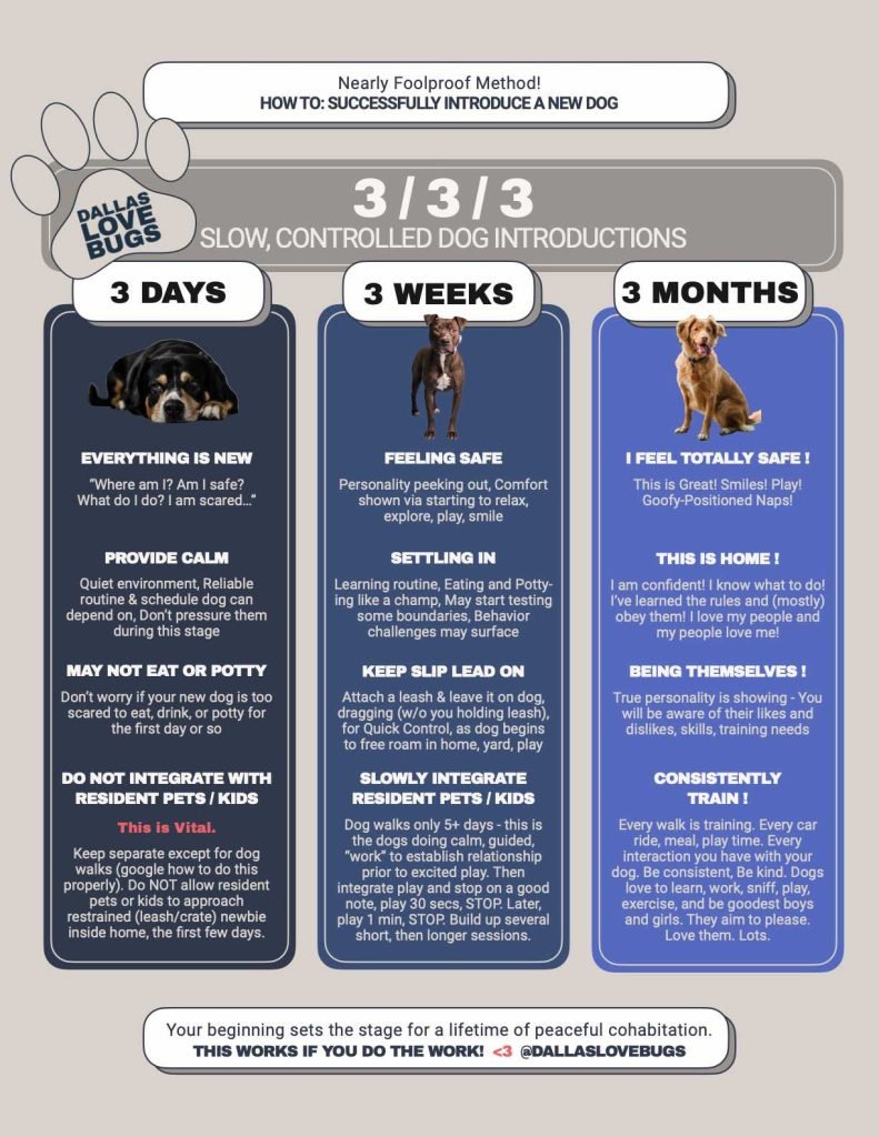 What Is The 3 3 3 Exercise Rule And How Does It Work