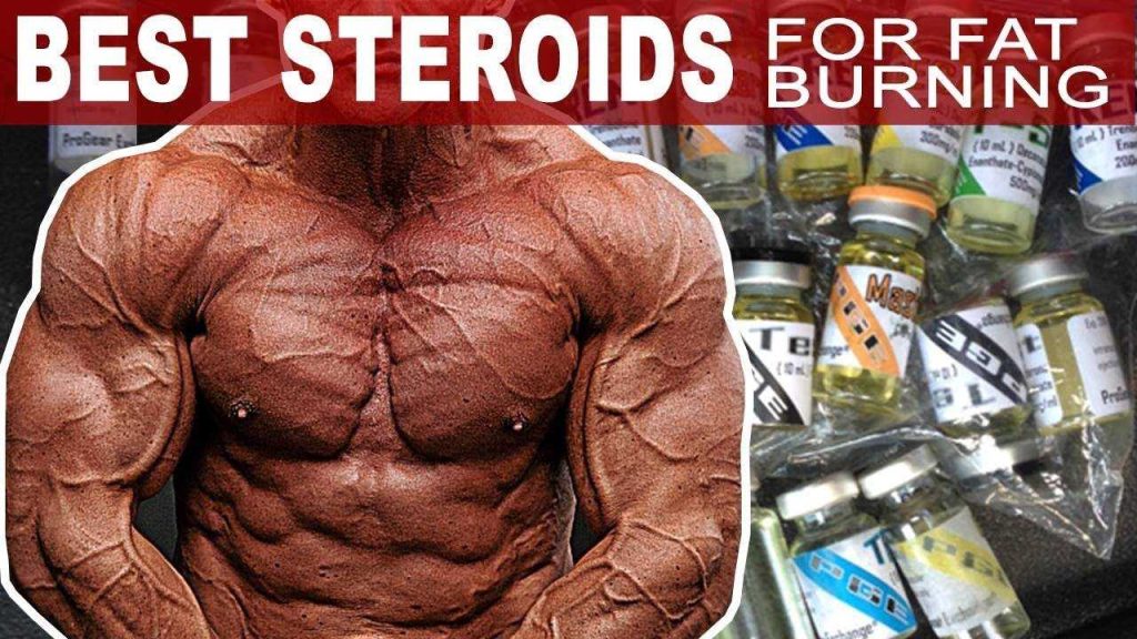 Best Fat Burners Steroids: Top Options For Effective Fat Loss