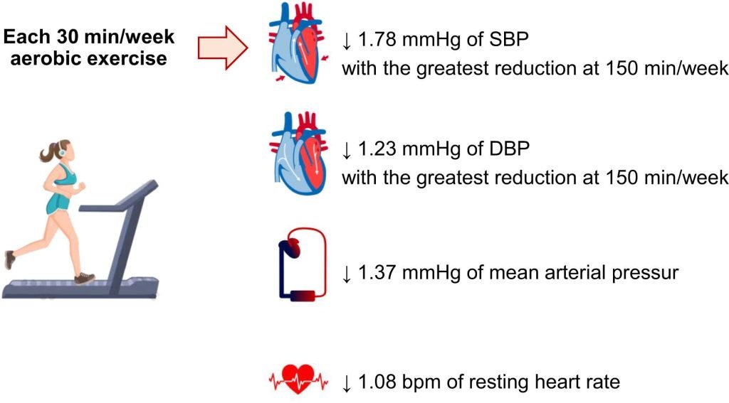 Does Cardio Help Blood Pressure Benefits Explained