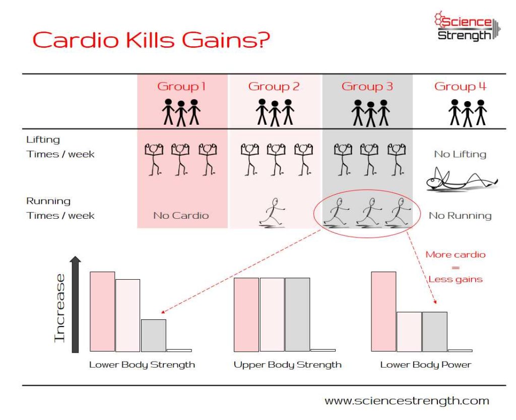How Cardio Kills Gains: What You Need To Know