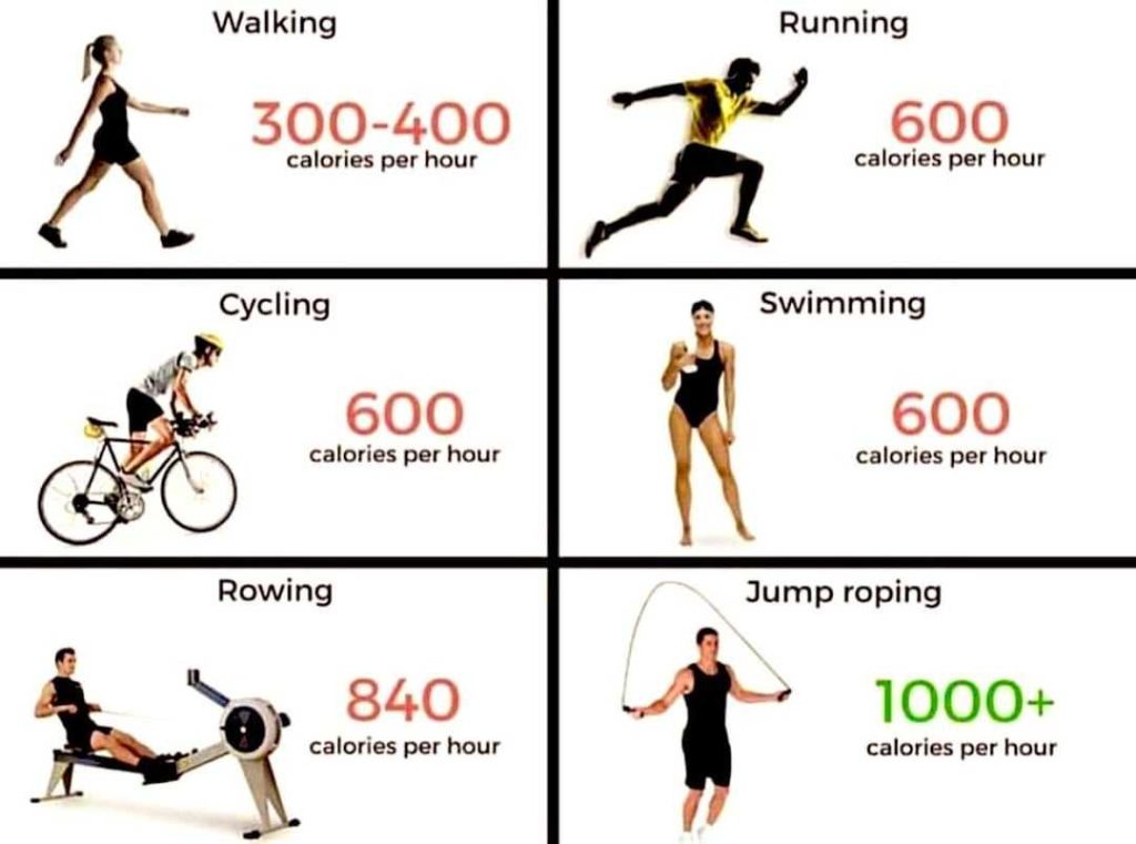 How Many Calories Does Cardio Burn In A Workout