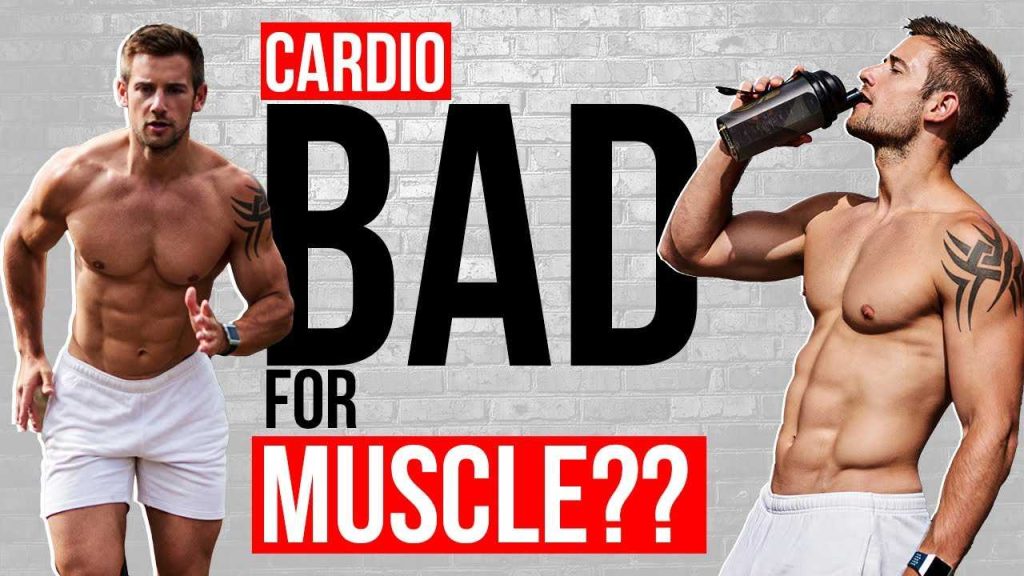 Is Cardio Good For Muscle Building A Complete Guide
