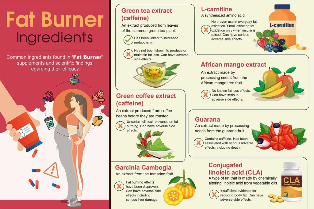 Natural Fat Burners That Work: Top Effective Options