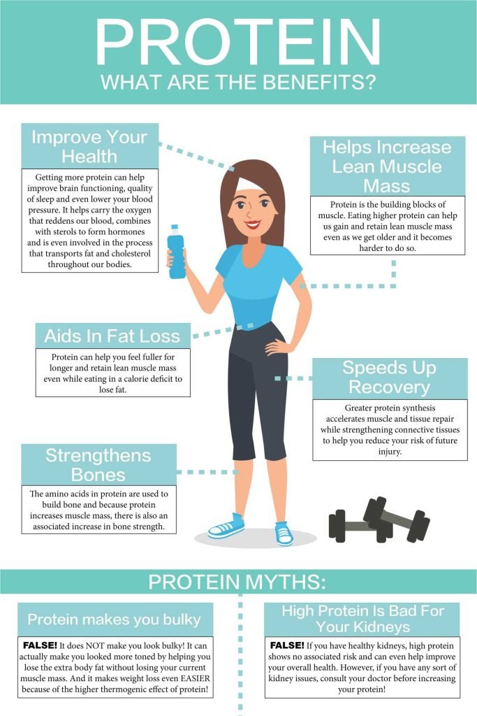 How To Eat More Protein To Support Fat Burning Effectively