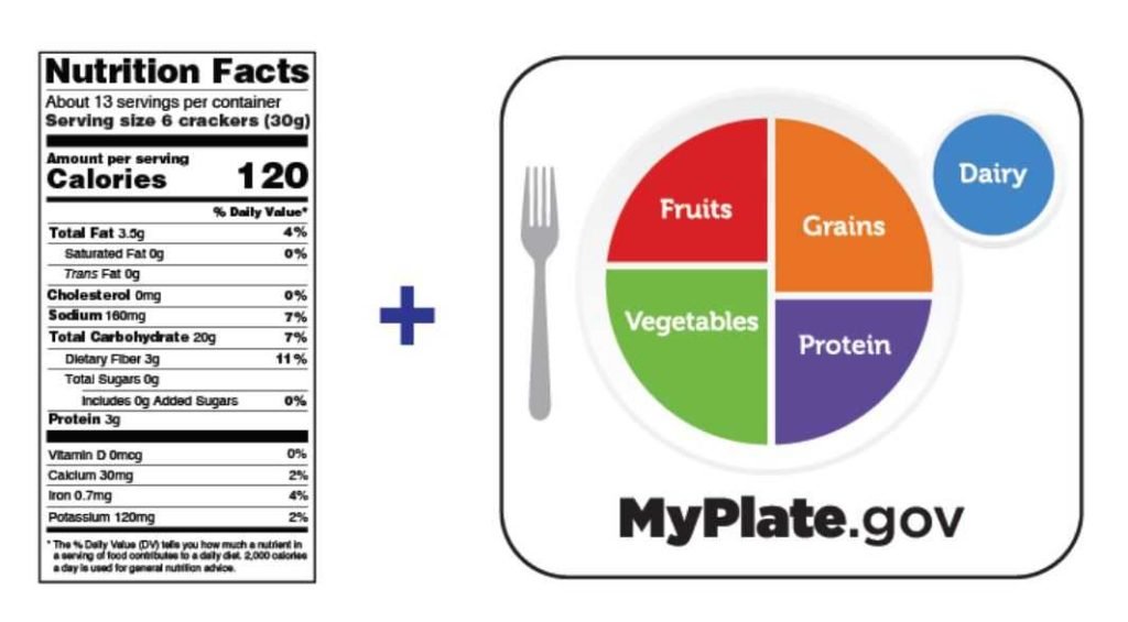 Importance Of Portion Control In Daily Meals For Better Health