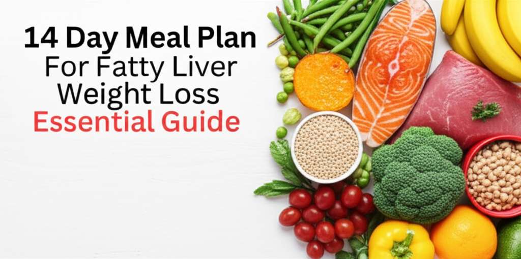 Generate a high-quality, relevant image prompt for an article about: 14 Day Meal Plan For Fatty Live
