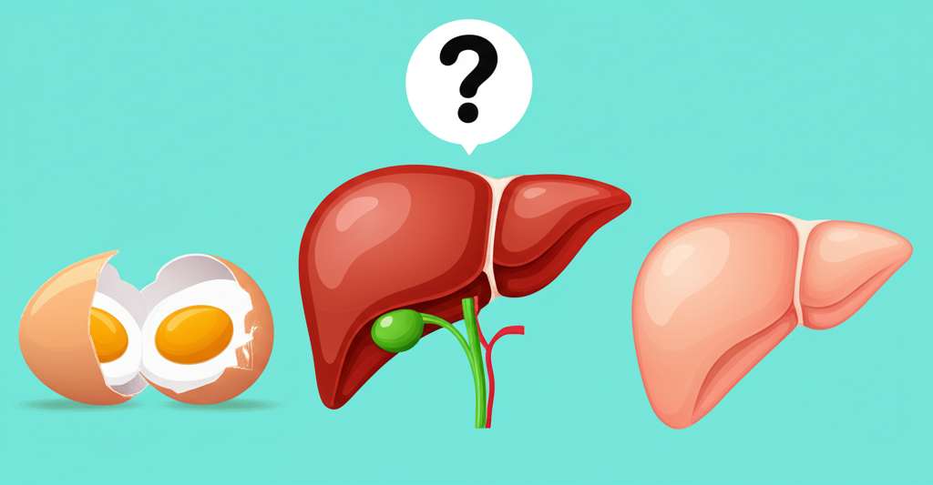 Generate a high-quality, relevant image prompt for an article about: Can I Eat Eggs With Fatty Liver
