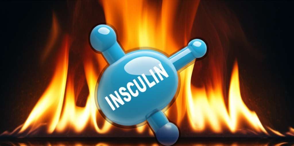 Generate a high-quality, relevant image prompt for an article about: Does Insulin Prevent Fat Burn?
