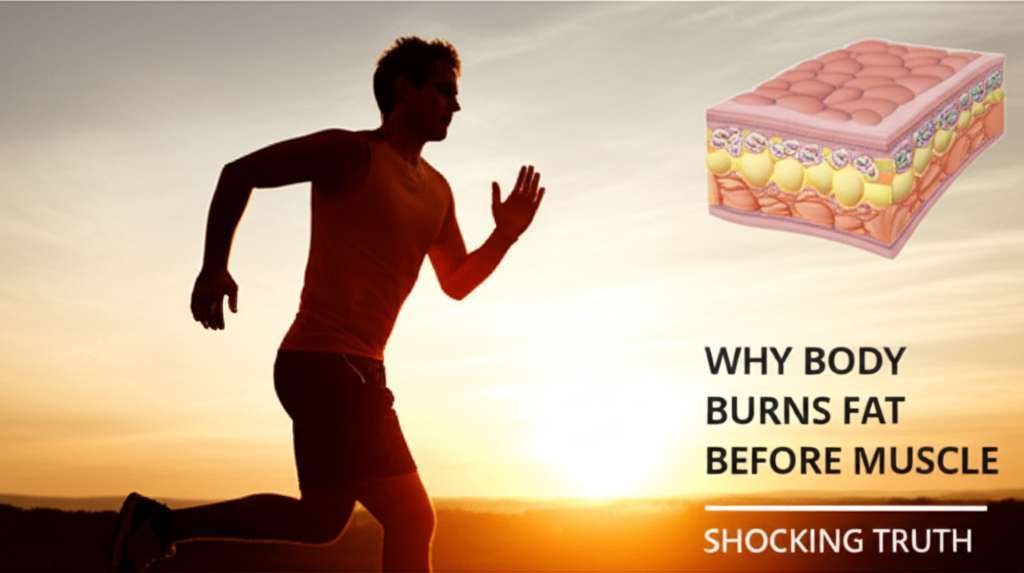 Generate a high-quality, relevant image prompt for an article about: Why Body Burns Fat Before Muscl