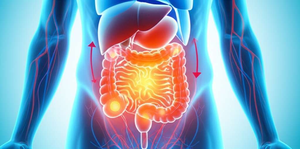 Generate a high-quality, relevant image prompt for an article about: How Does Your Body Know When to