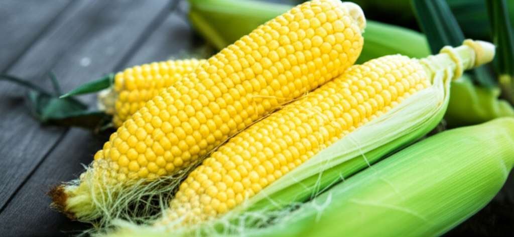 Generate a high-quality, relevant image prompt for an article about: Is Sweet Corn Good For Weight L