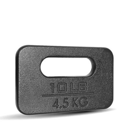Yes4All Cast Iron Rucking Weight for Backpack, 10 LB Plate.