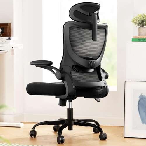 Marsail Ergonomic Office Chair: Office Desk Chair with High...