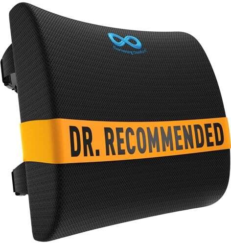 Everlasting Comfort The Original Lumbar Support Pillow for...