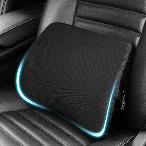 TISHIJIE Lumbar Support Pillow for Car, Lower Back Support