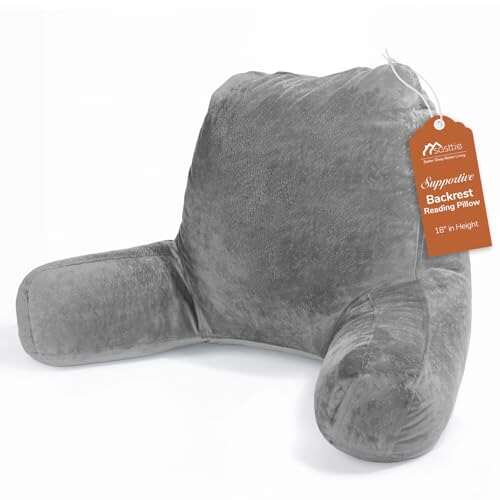 Sasttie Reading Pillows for Sitting in Bed with Velvet Back