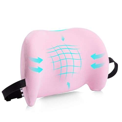 Lumbar Support Pillow for Office Chair, Car with Adjustable...