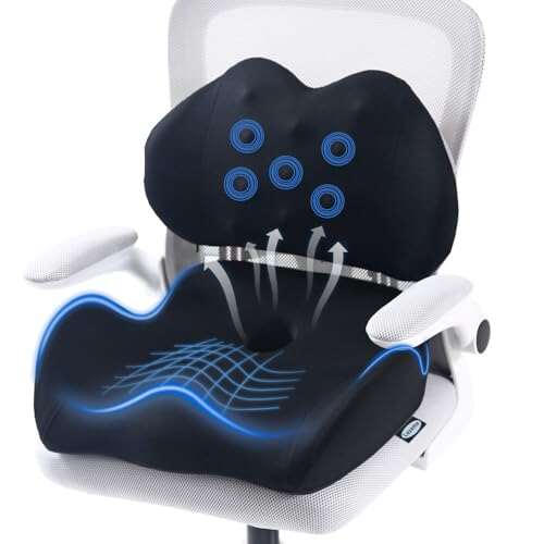 Lexeme X Large Memory Foam Seat Cushion for Lumbar Support