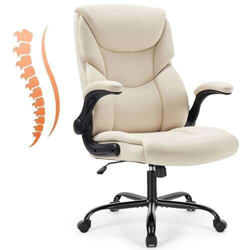 Sweetcrispy Ergonomic Office Chair Heavy Duty Task Chair...