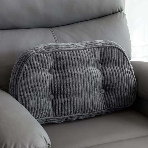 HIGOGOGO Lumbar Support Pillow for Recliner Chair/Accent...