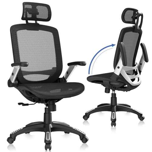 GABRYLLY Ergonomic Office Chair, High Back Home Desk Chair