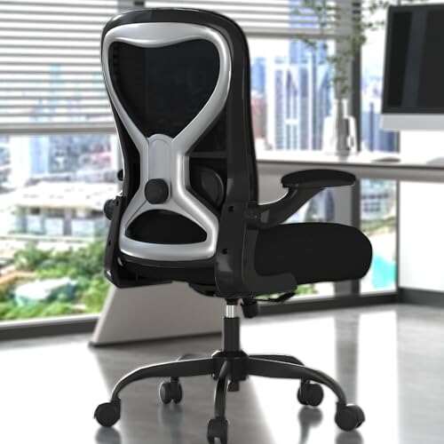 CASASIO Office Desk Chair with Ergonomic Lumbar Support and...