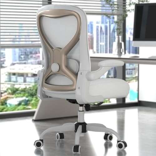 CASASIO Office Desk Chair with Ergonomic Lumbar Support and...