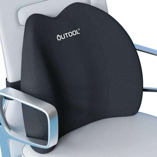QUTOOL Lumbar Support Pillow for Office Chair, with Memory...