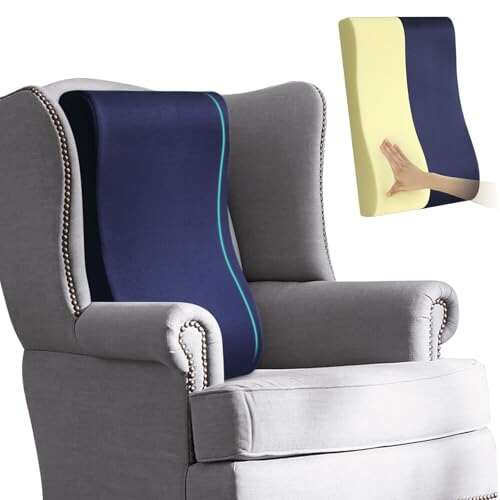 HAVARGO 2-in-1 Neck Pillow Lumbar Support Pillow for...