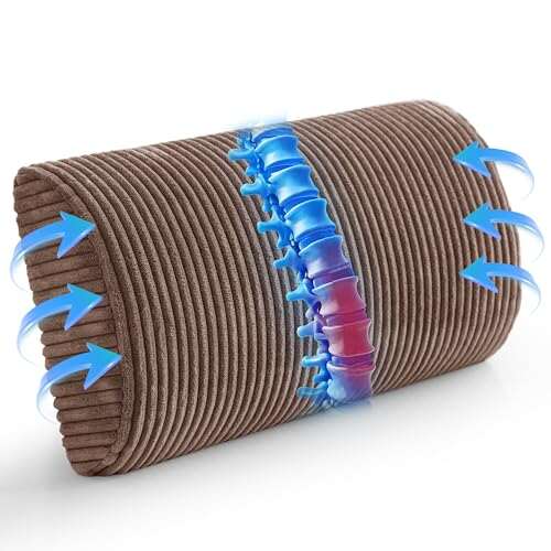 HIGOGOGO Lumbar Support Pillow for Recliner Chair/Accent...
