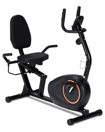 Recumbent Exercise Bike for Seniors with 400LB Capacity,...