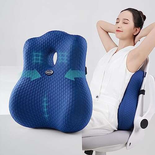 seeknow Lumbar Support for Chair Back Support Pillow