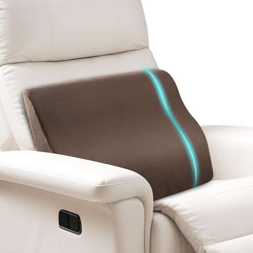 SofGlowly Lumbar Support Pillow for Recliner,Large Memory...