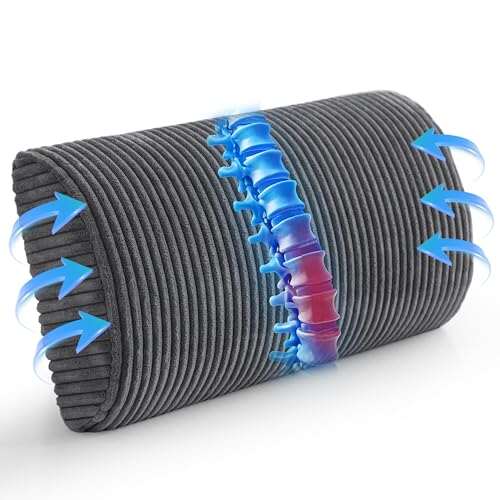 HIGOGOGO Lumbar Support Pillow for Recliner Chair/Accent...