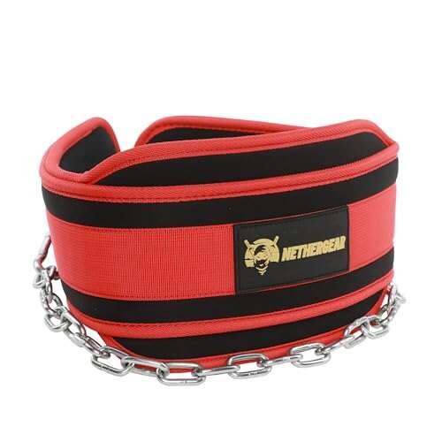 Nethergear Dip Belt for Weight Lifting with heavy steel...