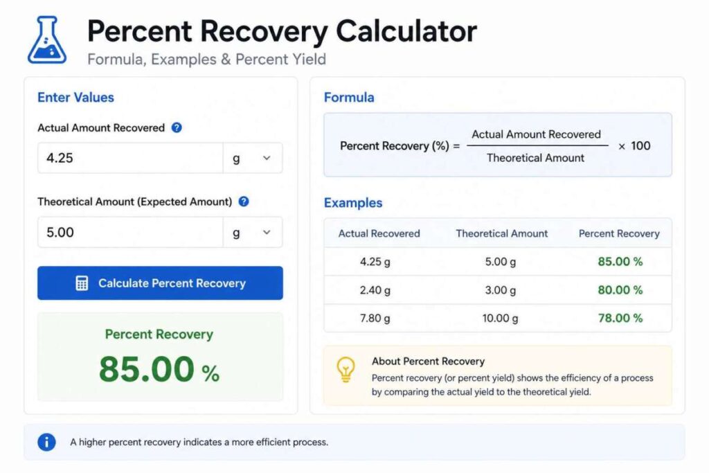 Protein Molecular Weight Calculator